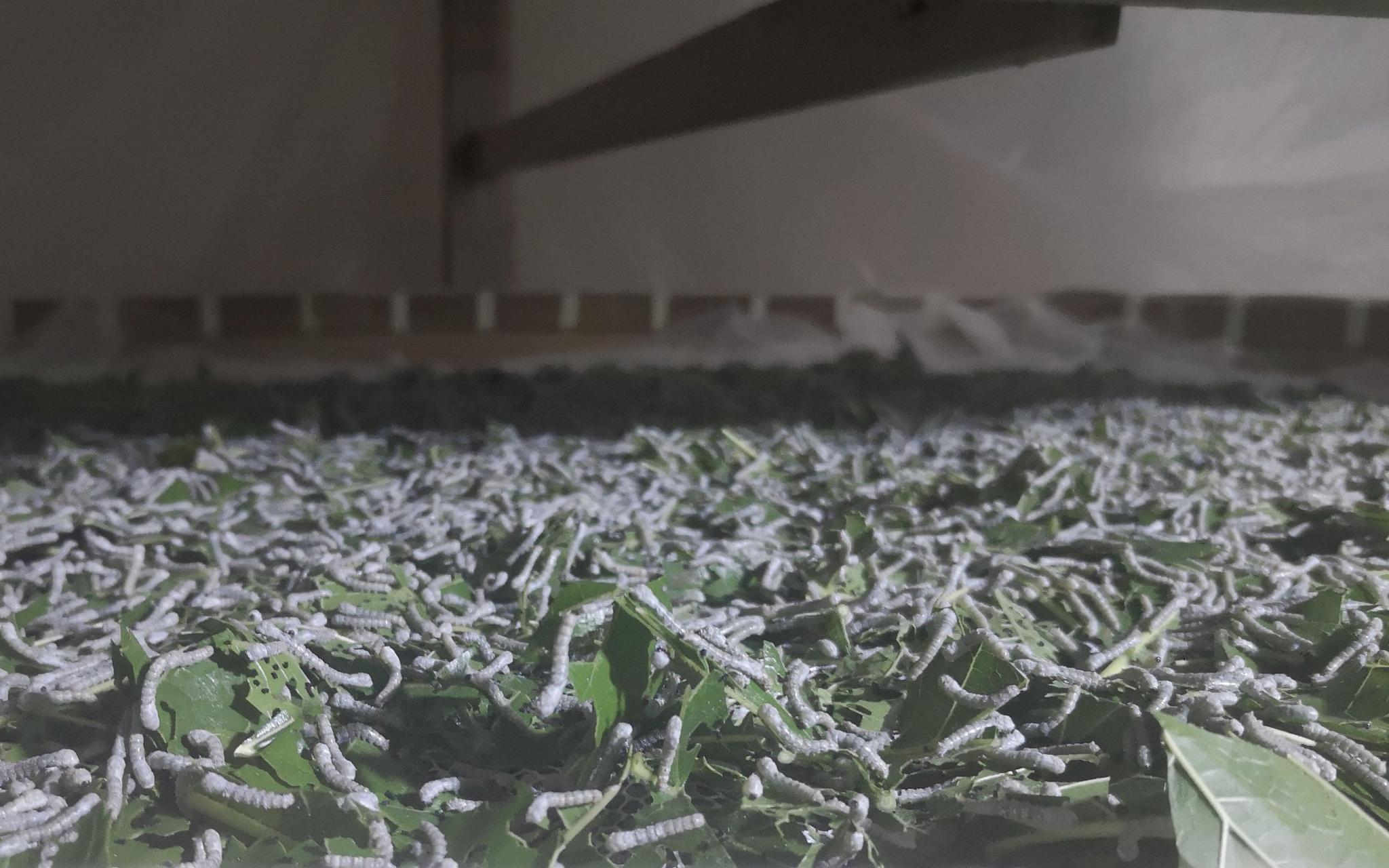 澳门最精准正最精准龙门蚕-构建解答落实，精选解析解释落实
