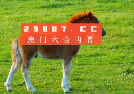澳门一肖一码一必中-构建解答落实，词语释义解释落实