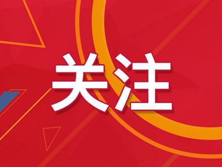 澳门最精准六肖期期准精选版|精选资料解析大全