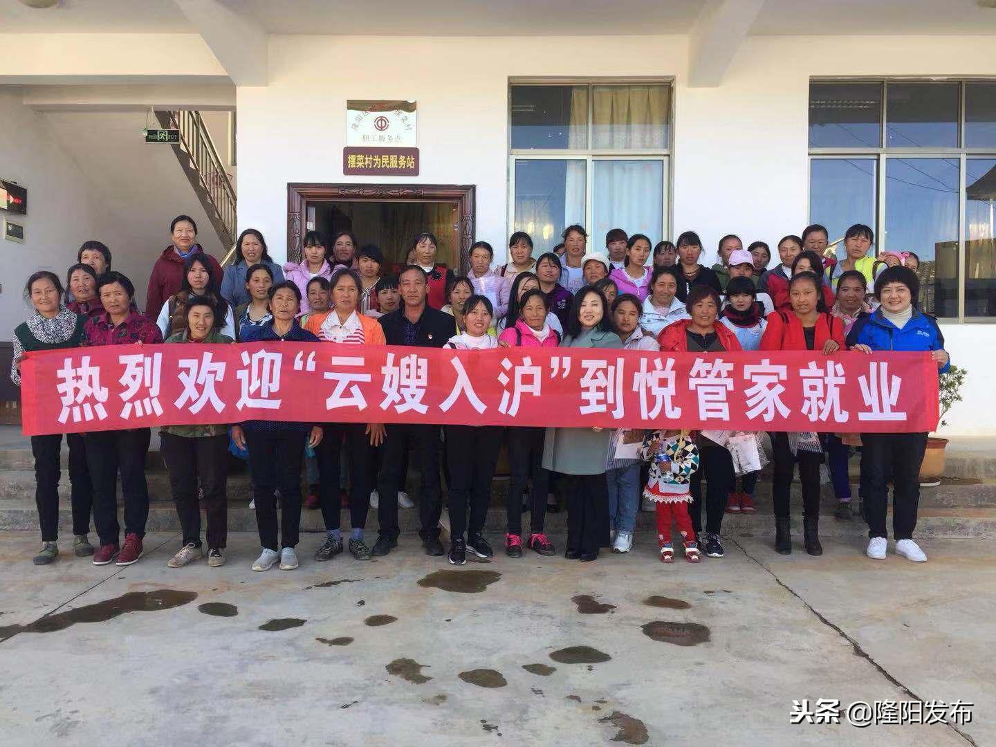 管家最准一码一肖100%|精选资料解析大全