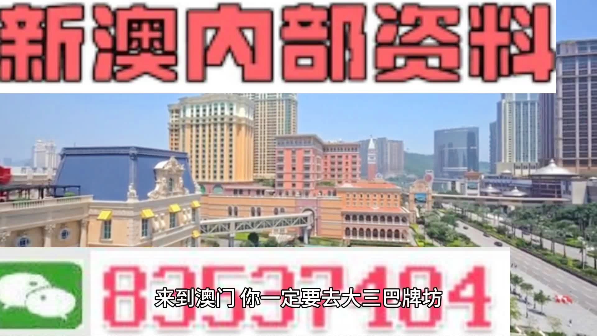 2024年新澳门王中王免费 |精选资料解析大全